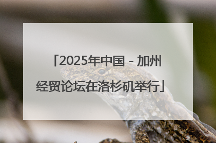 2025年中国－加州经贸论坛在洛杉矶举行