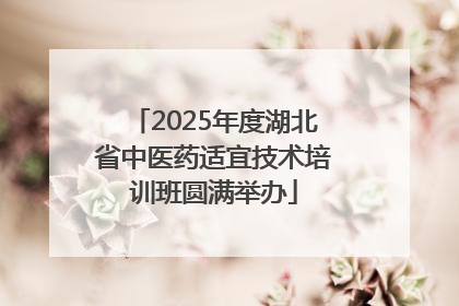 2025年度湖北省中医药适宜技术培训班圆满举办