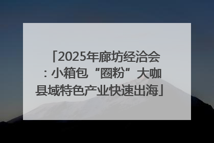 2025年廊坊经洽会：小箱包“圈粉”大咖 县域特色产业快速出海