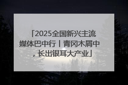 2025全国新兴主流媒体巴中行丨青冈木屑中，长出银耳大产业