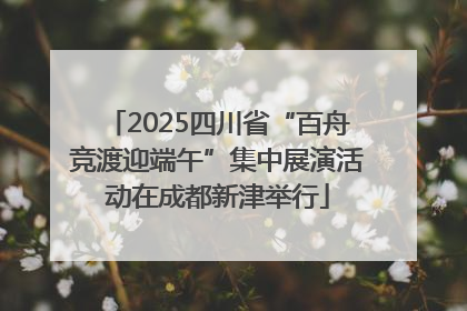 2025四川省“百舟竞渡迎端午”集中展演活动在成都新津举行