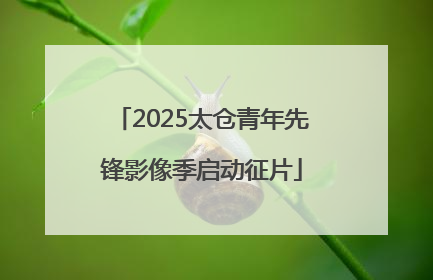 2025太仓青年先锋影像季启动征片