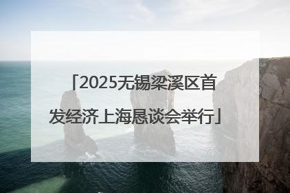 2025无锡梁溪区首发经济上海恳谈会举行