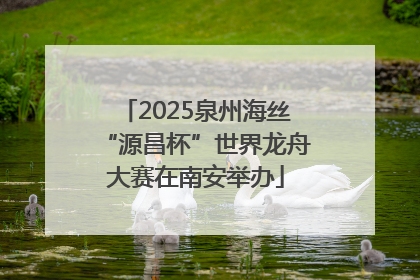 2025泉州海丝“源昌杯”世界龙舟大赛在南安举办