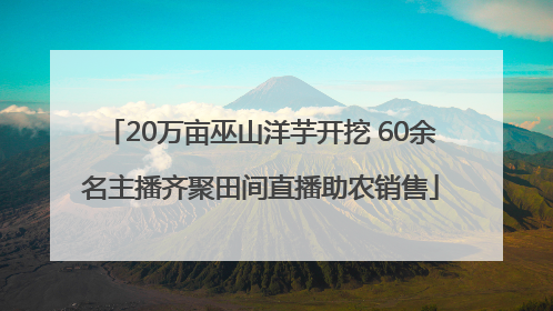 20万亩巫山洋芋开挖 60余名主播齐聚田间直播助农销售