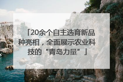 20余个自主选育新品种亮相，全面展示农业科技的“青岛力量”