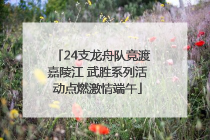 24支龙舟队竞渡嘉陵江 武胜系列活动点燃激情端午