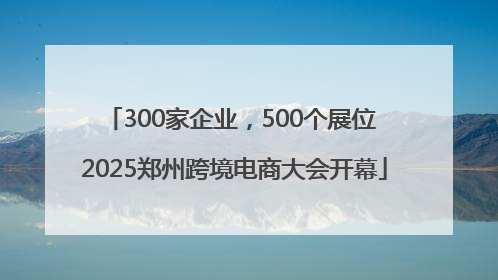 300家企业，500个展位 2025郑州跨境电商大会开幕