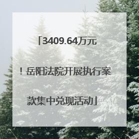 3409.64万元！岳阳法院开展执行案款集中兑现活动