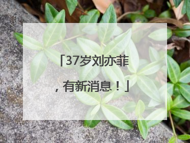 37岁刘亦菲，有新消息！