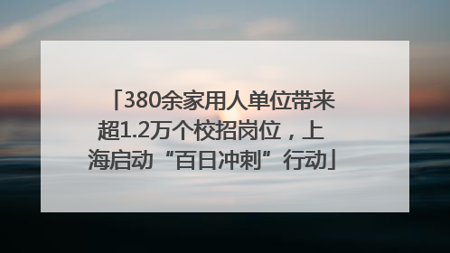 380余家用人单位带来超1.2万个校招岗位，上海启动“百日冲刺”行动