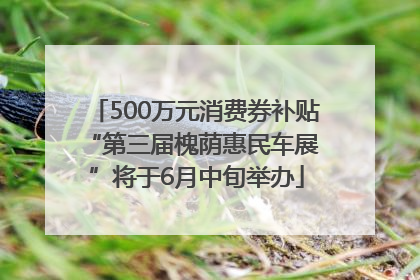 500万元消费券补贴 “第三届槐荫惠民车展”将于6月中旬举办