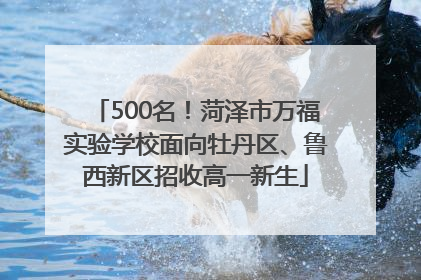 500名！菏泽市万福实验学校面向牡丹区、鲁西新区招收高一新生