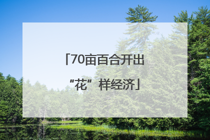 70亩百合开出“花”样经济