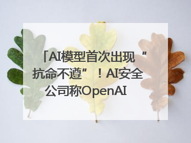 AI模型首次出现“抗命不遵”！AI安全公司称OpenAI o3模型出现异常