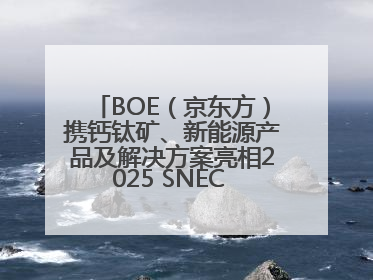 BOE（京东方）携钙钛矿、新能源产品及解决方案亮相2025 SNEC 科技创新赋能行业绿色发展