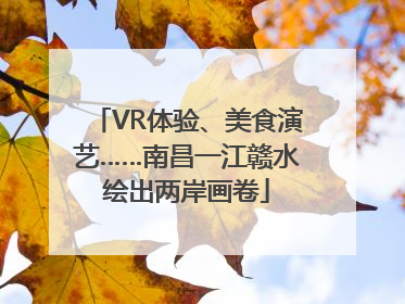 VR体验、美食演艺……南昌一江赣水绘出两岸画卷